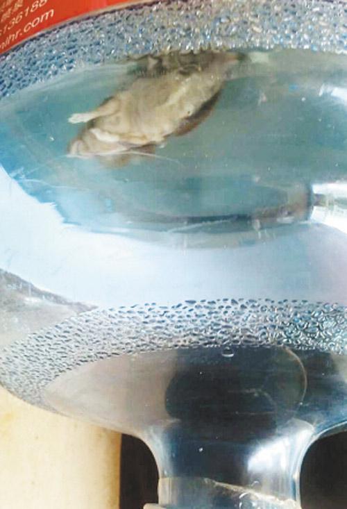 Ͱ�bˮ�Б�ˮ������