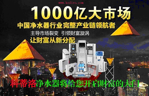 廚房凈水器加盟代理選什么牌子好